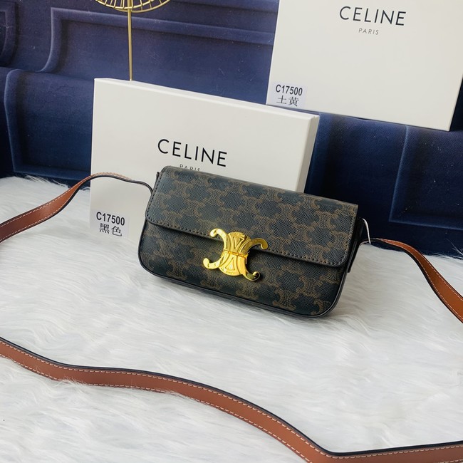 Celine Crossbody Bag Code: C17500
