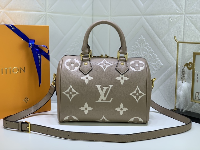 Louis Vuitton Speedy Bandoulière25 Handbag Code: M58947/M58948/M58949