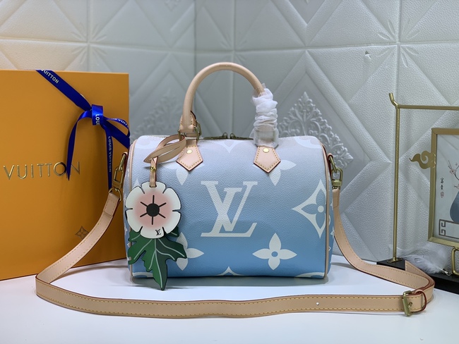 Louis Vuitton Speedy25 Handbag Code: M45724