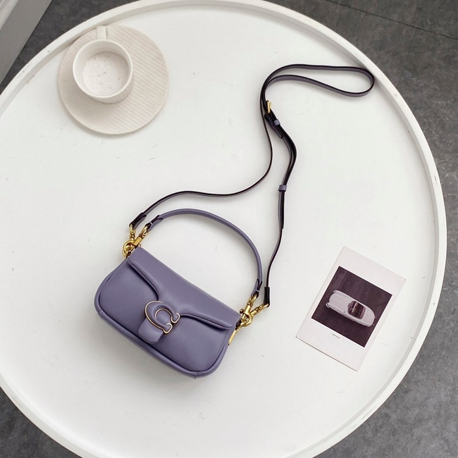 Coach Mollie Tote25 Crossbody Bag Code: C3880