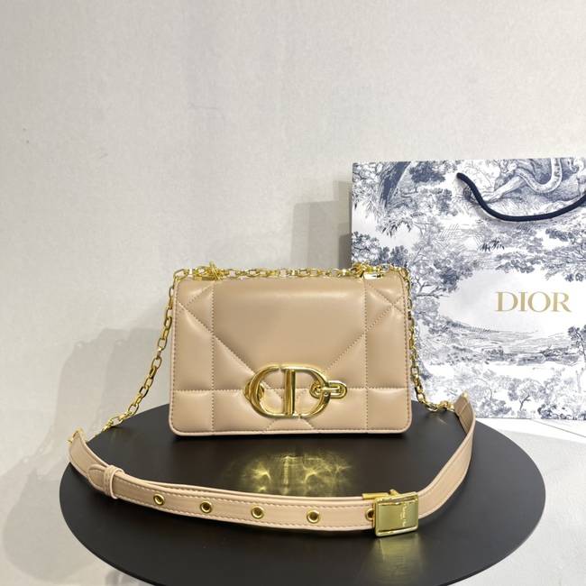 Dior Montaigne Woc Crossbody Bag