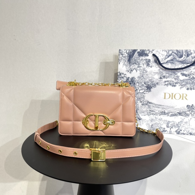 Dior Montaigne Woc Crossbody Bag