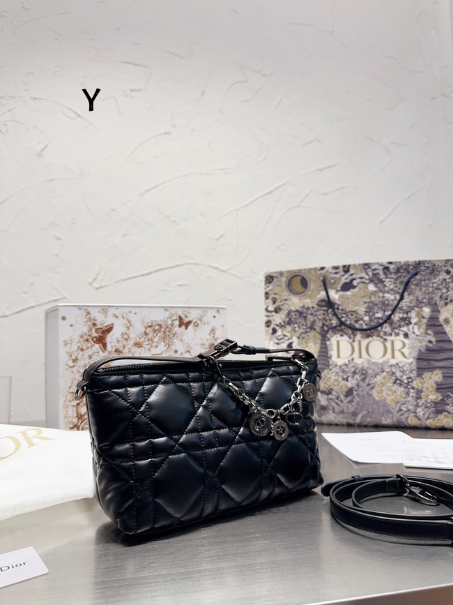 Dior Cowhide Crossbody Bag