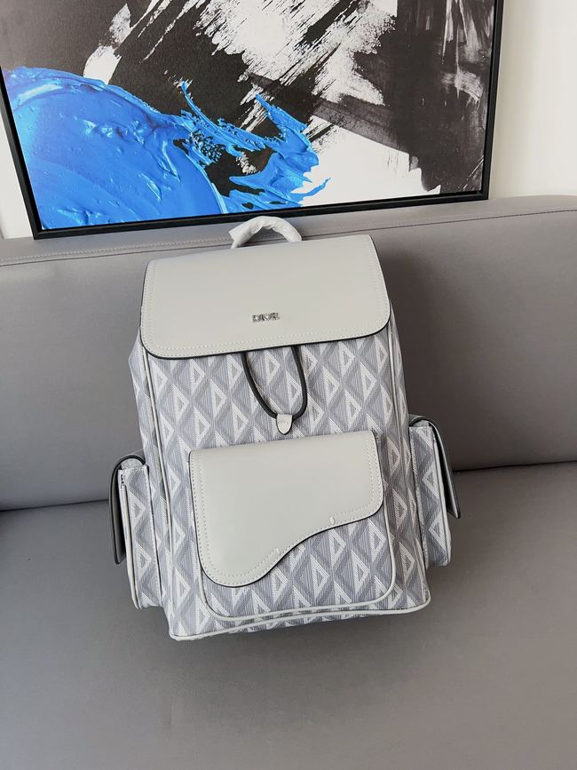 Dior Saddle Backpack