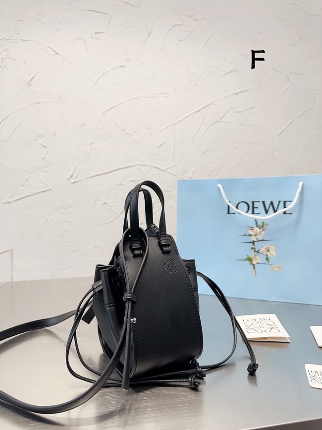 Loewe Cowhide Crossbody Bag