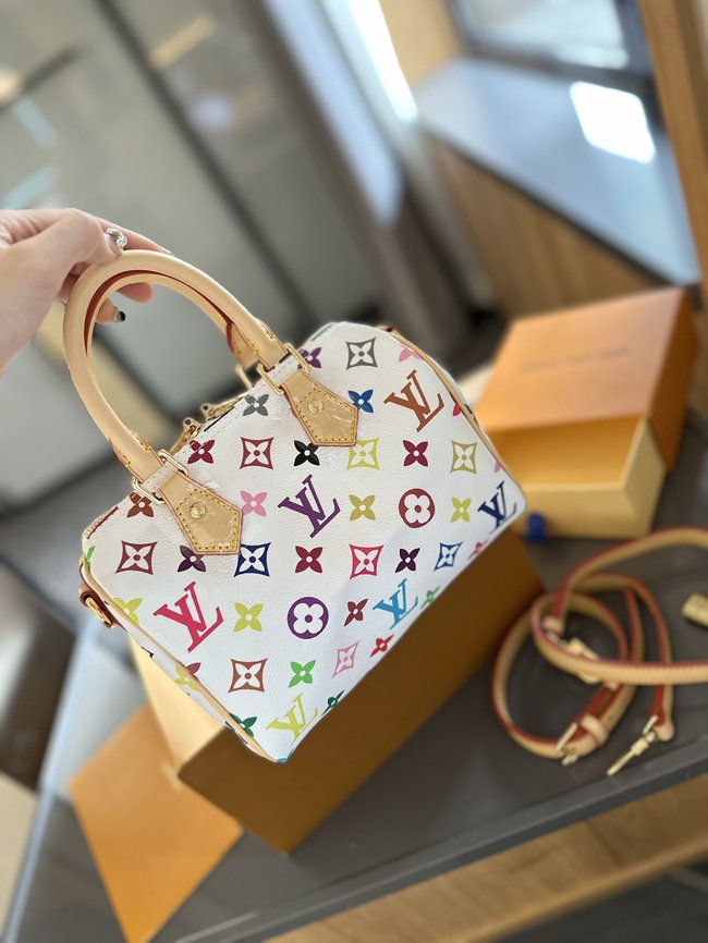 Louis Vuitton Three-Color Pillow Bag 