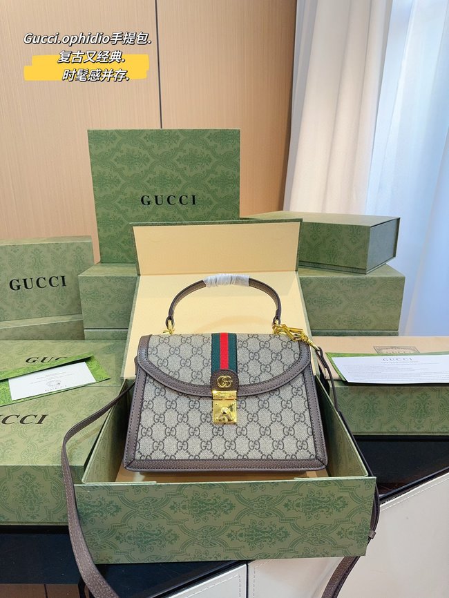 Gucci Ophidia Handbag 