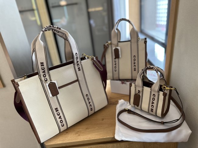 Coach Ace Tote Bag 